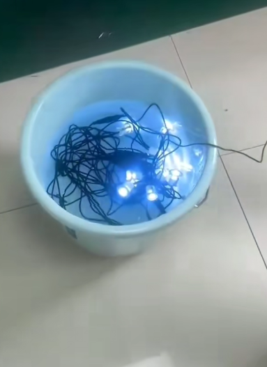 Bylbiau Dec yn cael Profion Dal Dŵr Wedi'u Boddi mewn Dŵr